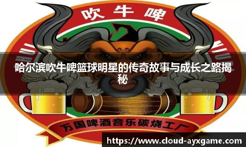 哈尔滨吹牛啤篮球明星的传奇故事与成长之路揭秘